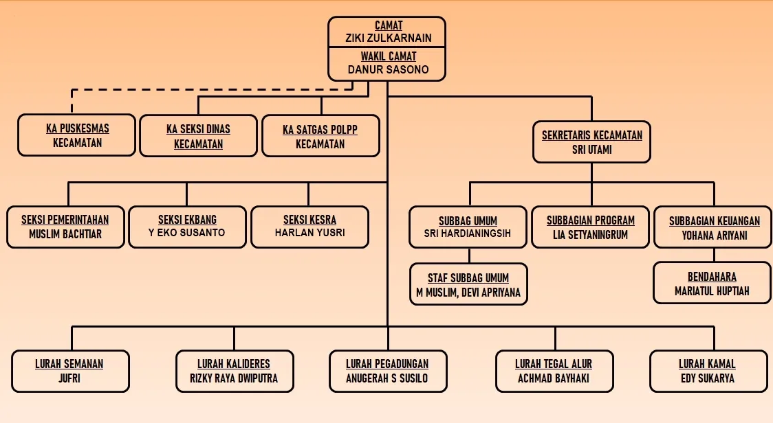 Struktur Organisasi